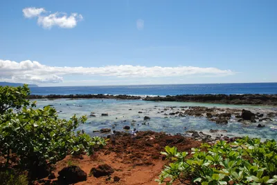 2007_05_30_HAWAII (104) (Large).JPG